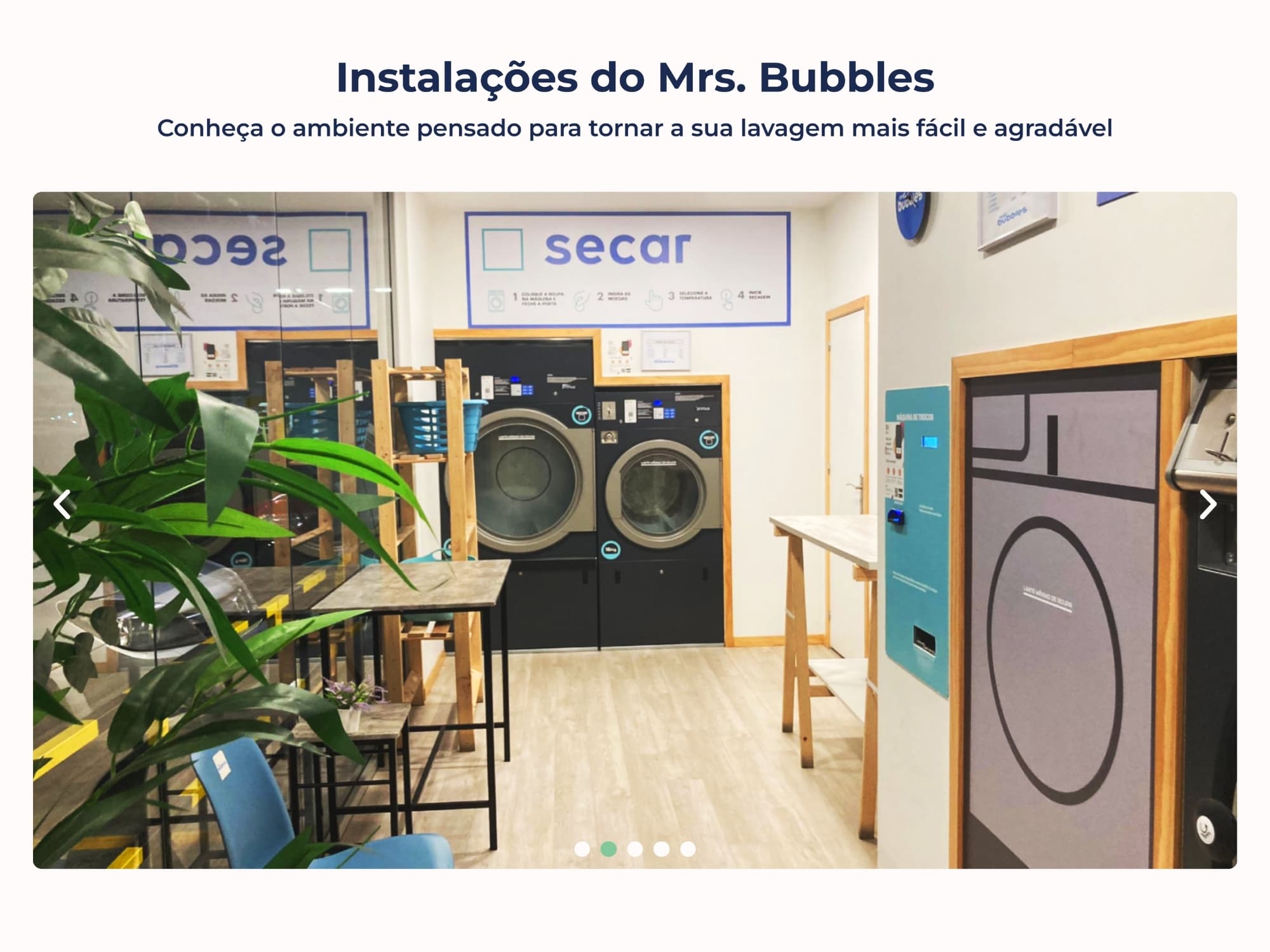 Mrs Bubbles, custom graphic elements designed for the brand